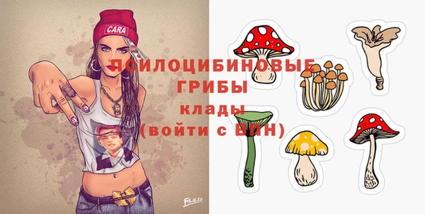крисы Балахна