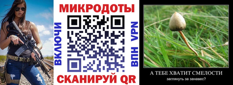 Псилоцибиновые грибы ЛСД  Белая Калитва 